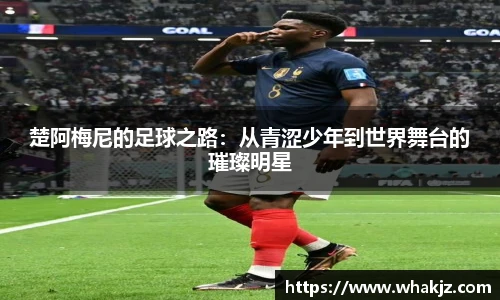8866体育官网